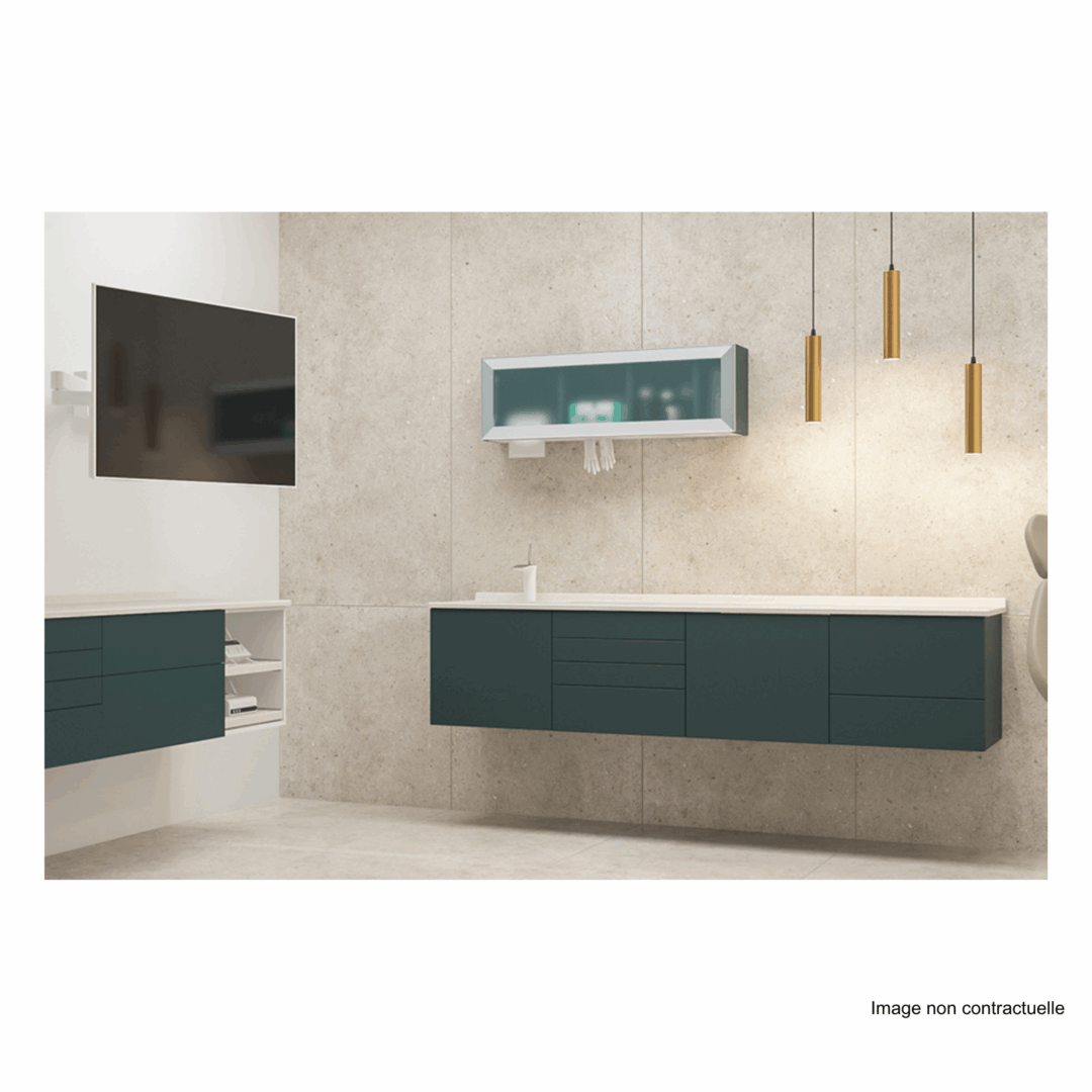 Meuble EOL Intercontidental